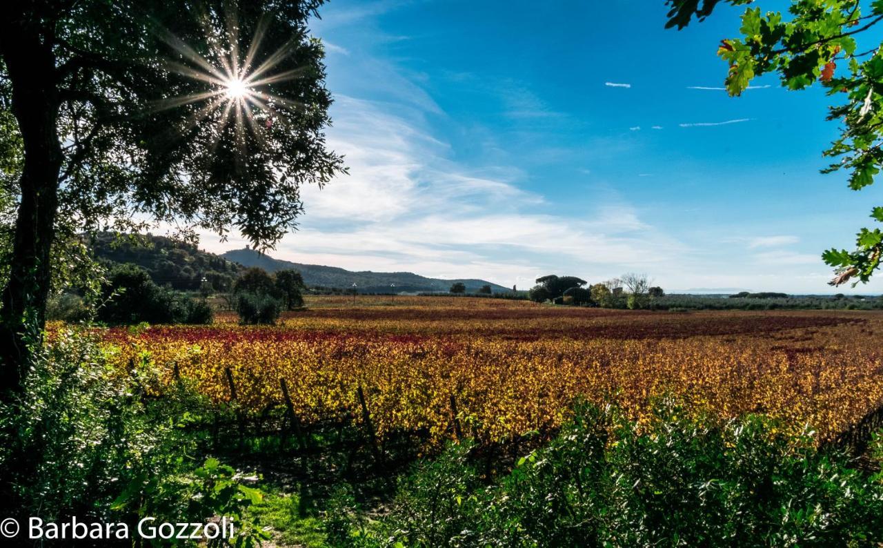 Podere Serena Appartamento David Donoratico Exterior foto